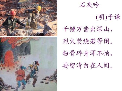 鸡肉大战手游(暂未上线)v1.2.0.0 安卓版